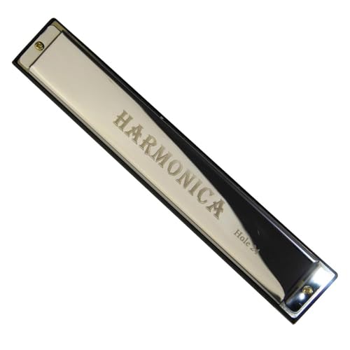 24 Loch Profi Mundharmonika Mit C Stimmung Und Metallkorpus Geeignet Für Anfänger(Silver) von RTNGFHYT