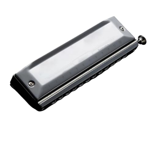 Chromatische Mundharmonika Für Anfänger Und Erwachsene Tonart C 16 Löcher 64 Töne(Type2 12-Hole) von RTNGFHYT