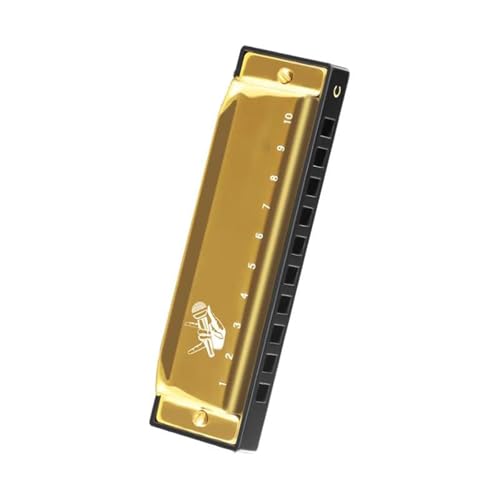 Diatonische Blues Mundharmonika Für Anfänger Tonart C 10 Löcher Standard H(Gold) von RTNGFHYT