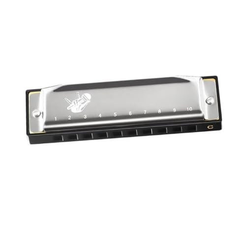 Diatonische Blues Mundharmonika Für Anfänger Tonart C 10 Löcher Standard H(Silver) von RTNGFHYT
