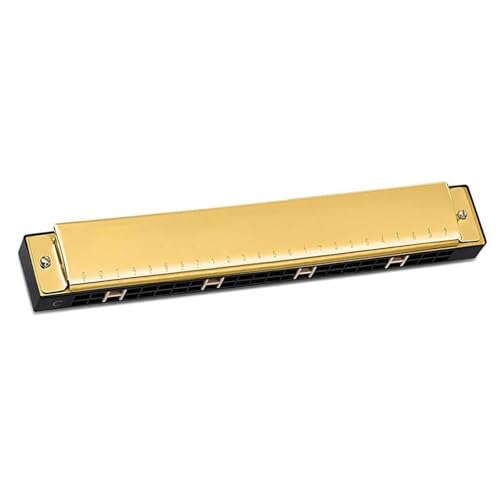 Erwachsene Blues 24 Löcher C Ton Mundharmonika Musikinstrument(Type2) von RTNGFHYT