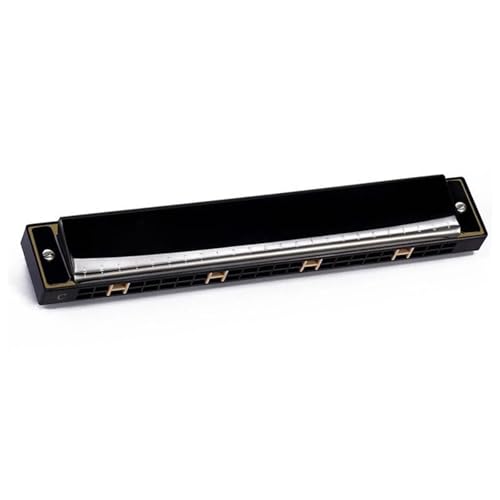 Erwachsene Blues 24 Löcher C Ton Mundharmonika Musikinstrument(Type4) von RTNGFHYT
