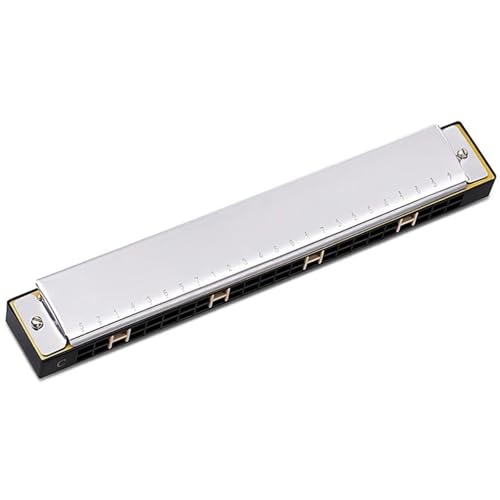 Erwachsene Blues 24 Löcher C Ton Mundharmonika Musikinstrument(Type5) von RTNGFHYT