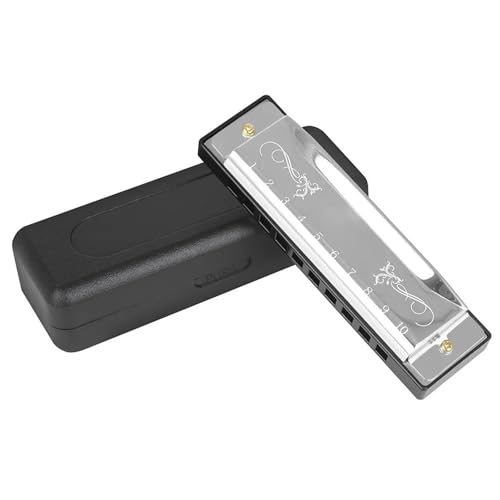 Musikliebhaber 10 Loch 20 Ton Edelstahlabdeckung Mundharmonika C Tonart(Silver) von RTNGFHYT