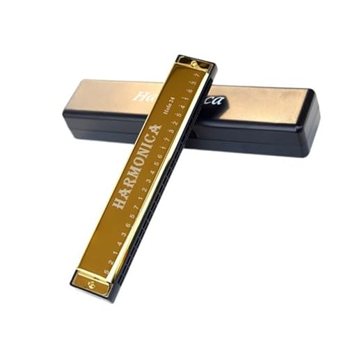 Musikliebhaber Einzelton 24 Loch C Mundharmonika Instrument(Gold) von RTNGFHYT