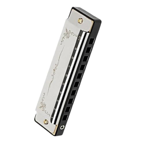 Professionelle 10 Loch 20 Noten Mundharmonika In C Tonart Mit Einem Farbenfrohen Etui Geeignet Für Anfänger(Silver) von RTNGFHYT