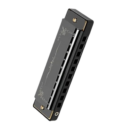Professionelle 10 Loch 20 Ton Mundharmonika In C Tonart Mit Einem Farbenfrohen Etui Geeignet(Black) von RTNGFHYT