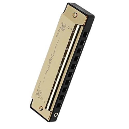 Professionelle 10 Loch 20 Ton Mundharmonika In C Tonart Mit Einem Farbenfrohen Etui Geeignet(Gold) von RTNGFHYT