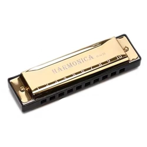 Professionelle 10 Loch Mundharmonika In C Tonart Für Anfänger(Gold) von RTNGFHYT