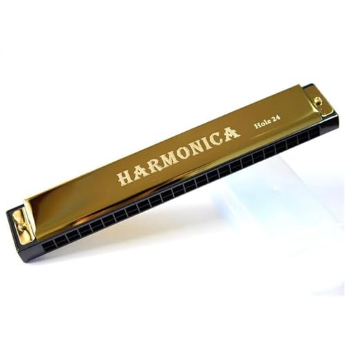 Professionelle 24 Loch Mundharmonika Aus Metall Geeignet Für Anfänger Mit Klavierkoffer(Gold) von RTNGFHYT