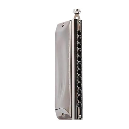 Professionelle Chromatische Mundharmonika C Tonart 12 Löcher 48 Töne(Grey) von RTNGFHYT