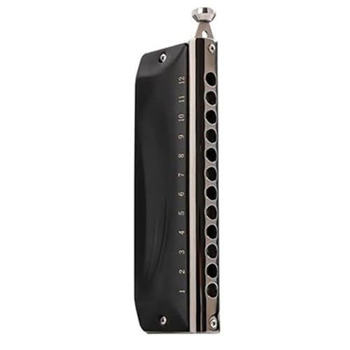 Professionelle Chromatische Mundharmonika C Tonart 12 Löcher 48 Töne(Matte Black) von RTNGFHYT