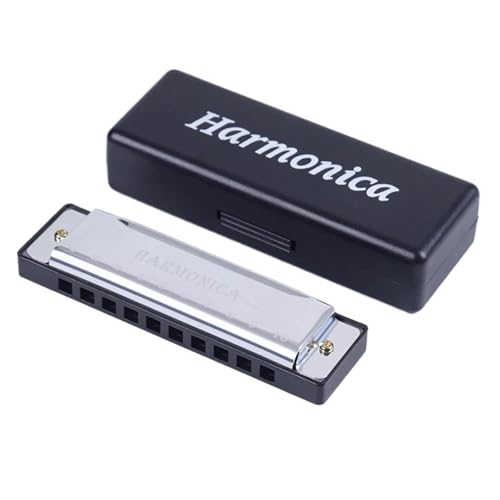 Professionelle Mundharmonika Für Erwachsene Tonart C 10 Löcher Diatonisch(Silver) von RTNGFHYT