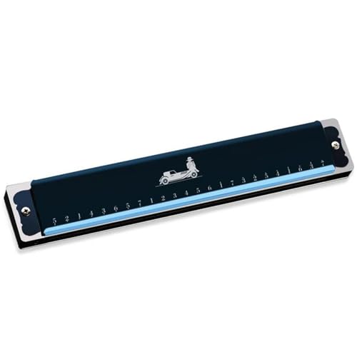 Professionelle Polyphone Mundharmonika Mit 24 Löchern Und C Stimmung Mit Instrumentenkoffer(24 Blue) von RTNGFHYT