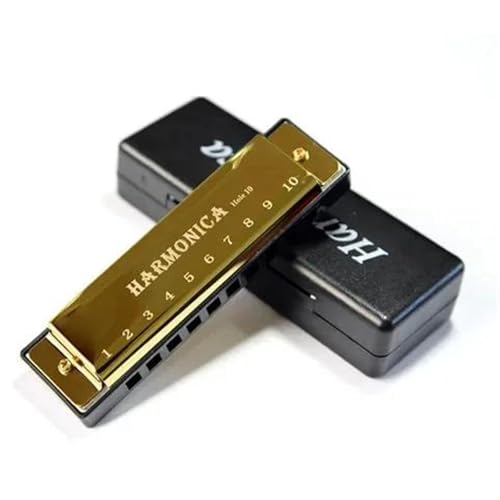 Professionelle Praktische Diatonische Mundharmonika Mit Zehn Löchern In C Tonart(Gold) von RTNGFHYT