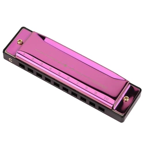 Professionelles 10 Loch Metall Mundharmonika Musikinstrument(Purple) von RTNGFHYT