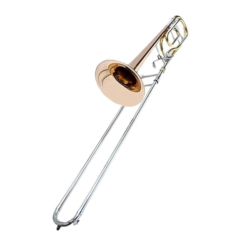 Professionelles Blechblasinstrument Für Alt B Posaune(Type 810) von RTNGFHYT
