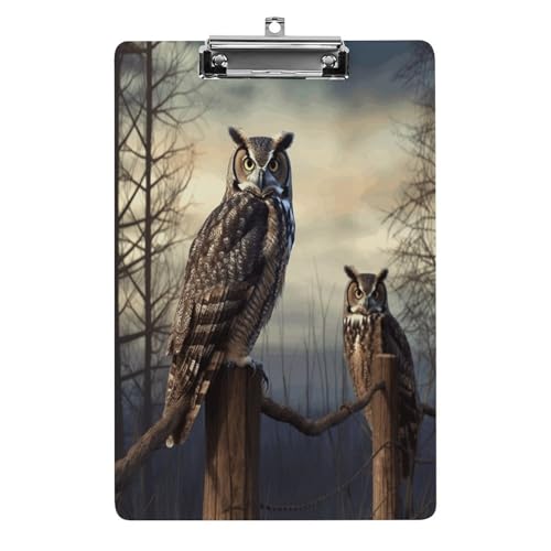 Acryl-Klemmbrett, 32,5 x 21,6 cm, lustige Eule, sitzender Baum, Zaun, Druck-Dateibrett, Clip, niedlich, mit flachem Profil-Clip für Bürobedarf von RTSEBVN