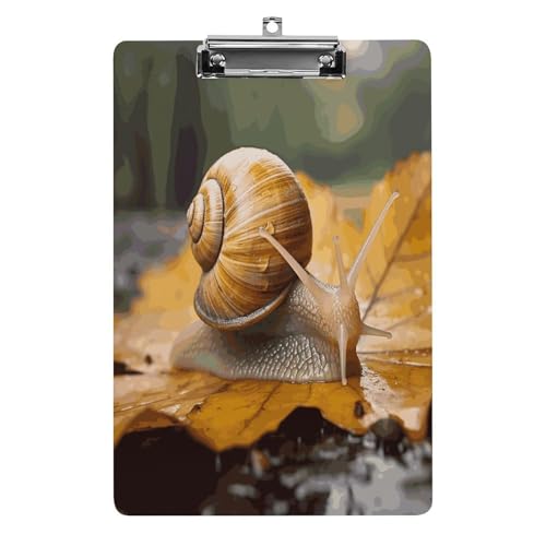 Acryl-Klemmbrett, 32,5 x 21,6 cm, lustige Schnecke in Blättern, Druck-Dateibrett, niedlich, mit flachem Profil-Clip für Bürobedarf Acryl-Klemmbrett, 32,5 x 21,6 cm, lustige Schnecke in Blättern, Druck-Dateibrett, niedlich, mit flachem Profil-Clip für Bürobedarf von RTSEBVN