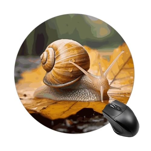 Mauspad, lustige Schnecke in Blättern, rund, Gummiunterseite, kleines Mauspad oder Büro und Zuhause von RTSEBVN