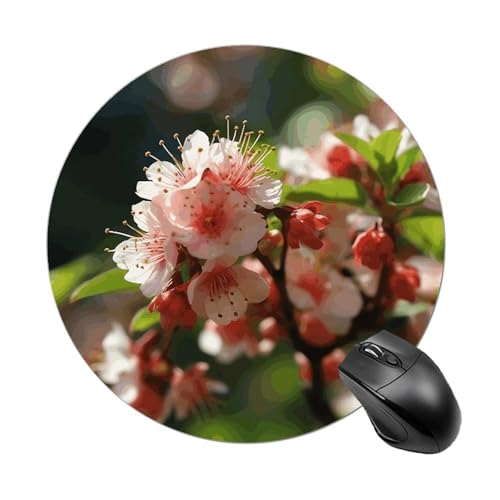 Mauspad mit lustigen, blühenden Pfirsichblüten, rund, Gummiunterseite, kleines Mauspad oder Büro und Zuhause von RTSEBVN