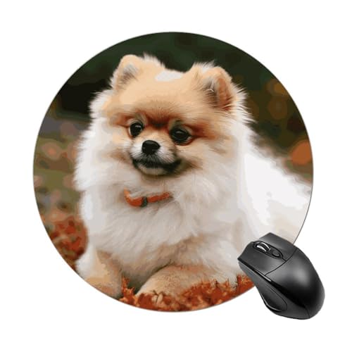 Mauspads, lustiges kurzhaariges Pomeranian Dog, rund, Gummiunterseite, kleines Mauspad oder Büro und Zuhause von RTSEBVN