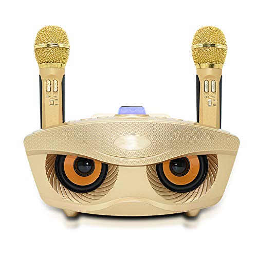 RUBEHOOW Karaoke Maschine ausgestattet mit 2 Mikrofonen einzigartige Eule Aussehen das beste Geschenk für singende Enthusiasten (gelb) von RUBEHOOW