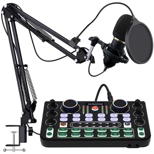 RUBEHOOW Mixer Kit Live Soundkarte DJ Controller Schnittstelle, mit BM800 Mikrofon für Live, Aufnahme, PC, Karaoke und Spiel Stimme von RUBEHOOW