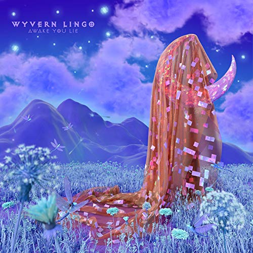 Awake You Lie [Vinyl LP] von RUBYWORKS