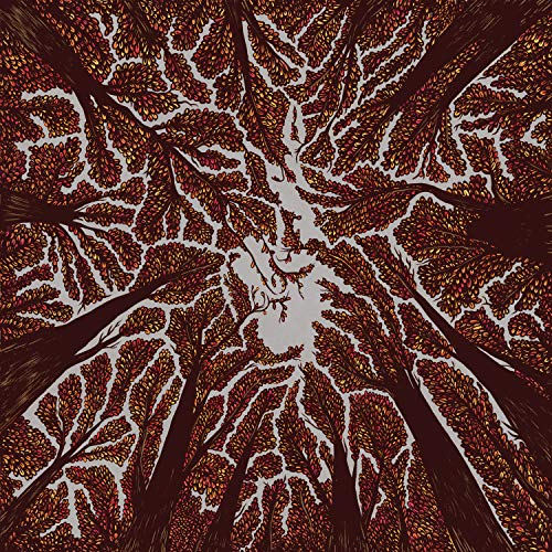 Crown Shyness [Vinyl LP] von RUDE RECORDS