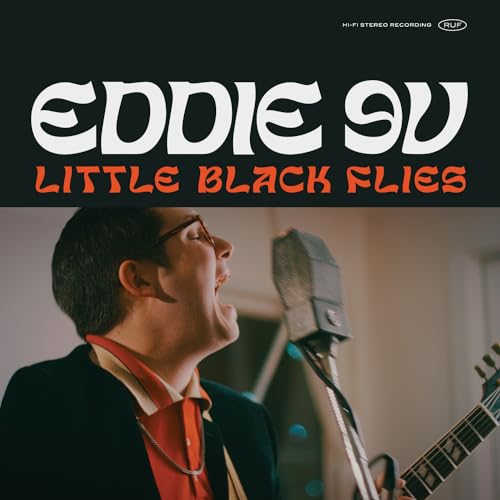 Little Black Flies von RUF RECORDS