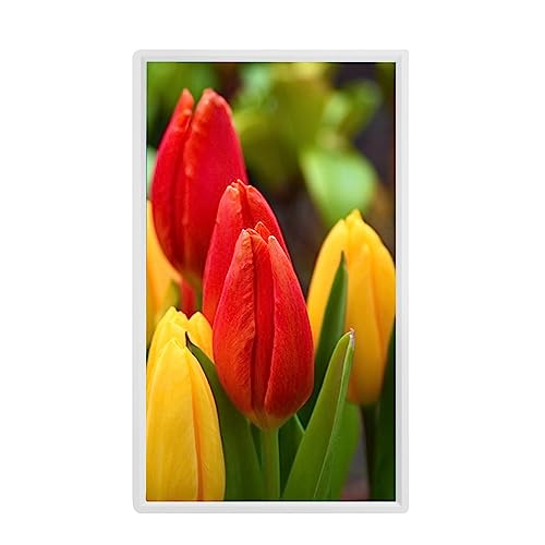 24-Zoll-Multifunktions-Foto-Video-Player-Werbemaschine Home Schmaler Seitenband-Menschlicher Körper-Induktion Energiesparender digitaler Fotorahmen kann an der Wand montiert werden (Color : White) von RUIRUME
