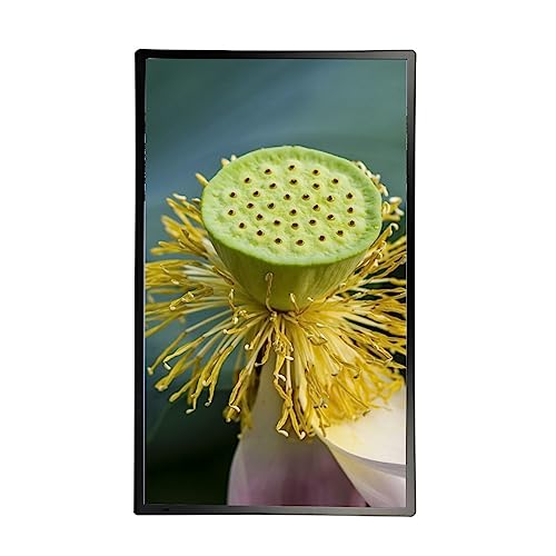 32 Zoll großer vertikaler Bildschirm, digitaler Bilderrahmen, 1920 x 1080, IPS-Full-HD-Bildschirm, Wandmontage, Bewegungssensor, IPS-Display, mühelose Einrichtung in einer Minute (Color : Black) von RUIRUME