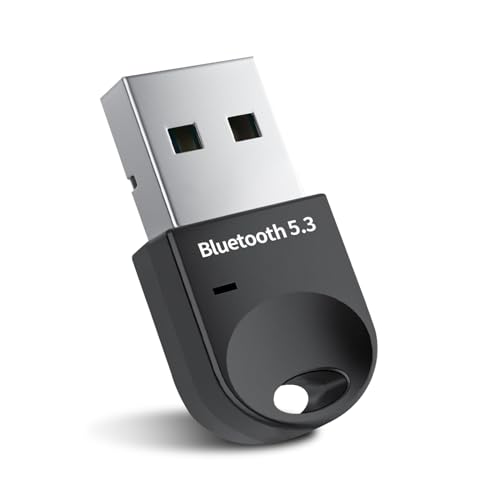 USB Bluetooth Adapter PC, 5.3 Bluetooth Transmitter Dongle, Bluetooth Stick für PC, Tablet, Tastiere, Mouse, Gamepad, Kompatibel mit Windows 7/8.1/10/11 von RUIZHI