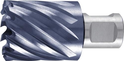 Ruko Kernbohrer D.12mm HSS TiAlN Schnitt-T.30mm Weldon RUKO Präzisionswerkzeuge Ruko Kernbohrer D.12mm HSS TiAlN Schnitt-T.30mm Weldon RUKO Präzisionswerkzeuge von RUKO Präzisionswerkzeuge