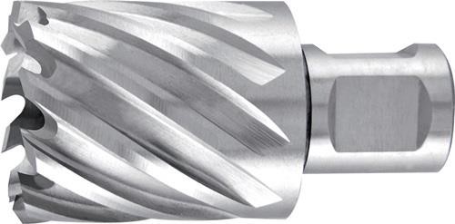 Ruko Kernbohrer D.60mm HSS Schnitt-T.30mm Weldon RUKO Präzisionswerkzeuge Ruko Kernbohrer D.60mm HSS Schnitt-T.30mm Weldon RUKO Präzisionswerkzeuge von RUKO Präzisionswerkzeuge
