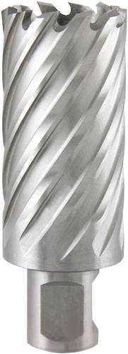 RUKO 108522 Kernlochbohrer 22mm 1St. RUKO 108522 Kernlochbohrer 22mm 1St. von RUKO