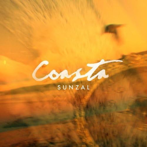 Sunzal [Vinyl LP] von RUN FOR COVER RE