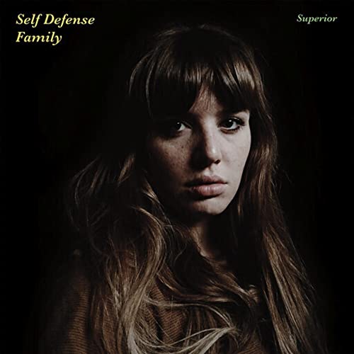 Superior [Vinyl LP] von RUN FOR COVER RE