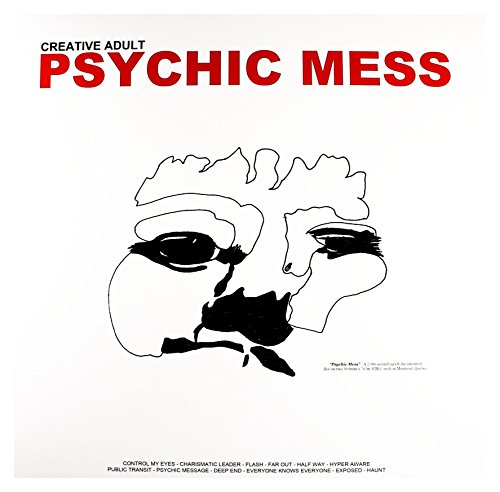 Psychic Mess [Vinyl LP] von RUN FOR COVER