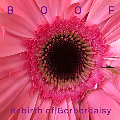 Rebirth of Gerberdaisy [Vinyl LP] von RUNNING BACK