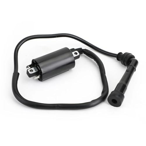 RVIFY Zündkerzen Für Kawasaki STREET BIKE EN500C Vulcan 500 Ltd EN 500 C 1996-2009 1997 1998 1999 2007 2008 2006 Zündspule Draht Ignition Coil von RVIFY