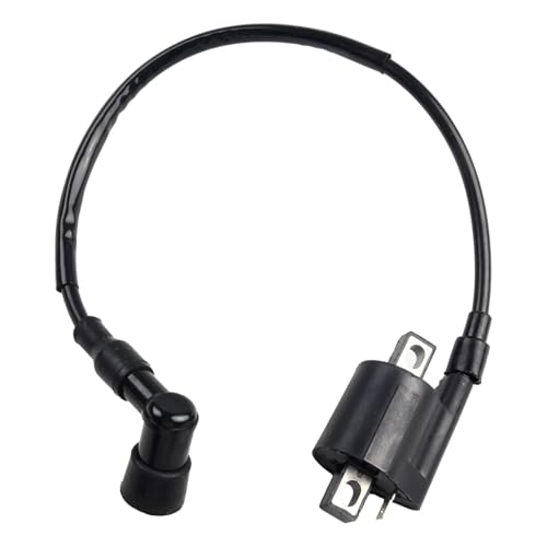 RVIFY Zündkerzen Motorradteile Zündspule Motorradmodifikation Für 50-250ccm Motoren ATVs Ignition Coil von RVIFY