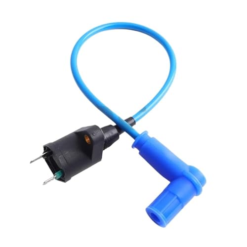 RVIFY Zündkerzen Zündspule geeignet für 50ccm 70ccm 90ccm 110ccm 125ccm 140ccm 150ccm 160ccm Dirtbike ATV Quad Motorrad Ignition Coil(Blue) von RVIFY