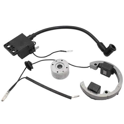 Zündkerzen Für KTM SX 50 50cc Motorrad Interne Rotor Zündung Racing 2 Hub Interne Rotor Stator Schwungrad Kit Moped Ignition Coil von RVIFY
