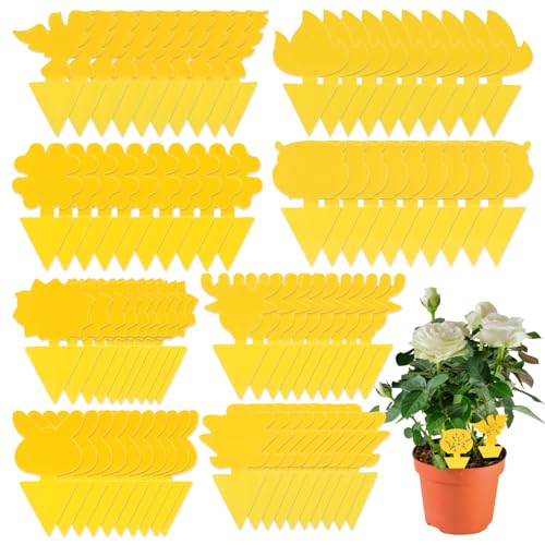 80 Stück Gelbsticker Trauermücken Bekämpfen, Gelbtafeln Gegen Trauermücken, Doppelseitig Klebende Gelbsticker Zimmerpflanzen, Blümchenmuster Fruit Fly Trap (8 Formen) von RVLZKCPG
