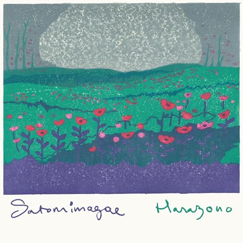 Hanazono [Vinyl LP] von RVNG INTL.
