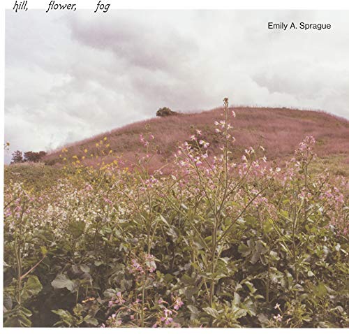Hill,Flower,Fog [Vinyl LP] von RVNG INTL.