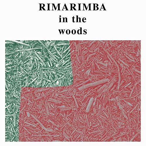 In the Woods [Vinyl LP] von RVNG INTL.