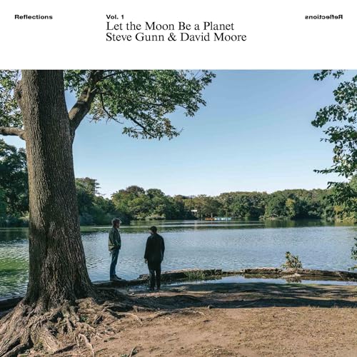 Reflections Vol.1: Let the Moon Be a Planet [Vinyl LP] von RVNG